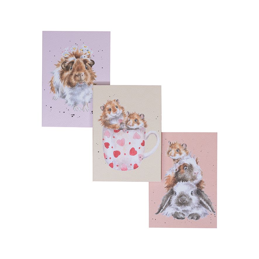 Whiskers & Paws - Set of 3 Notebooks
