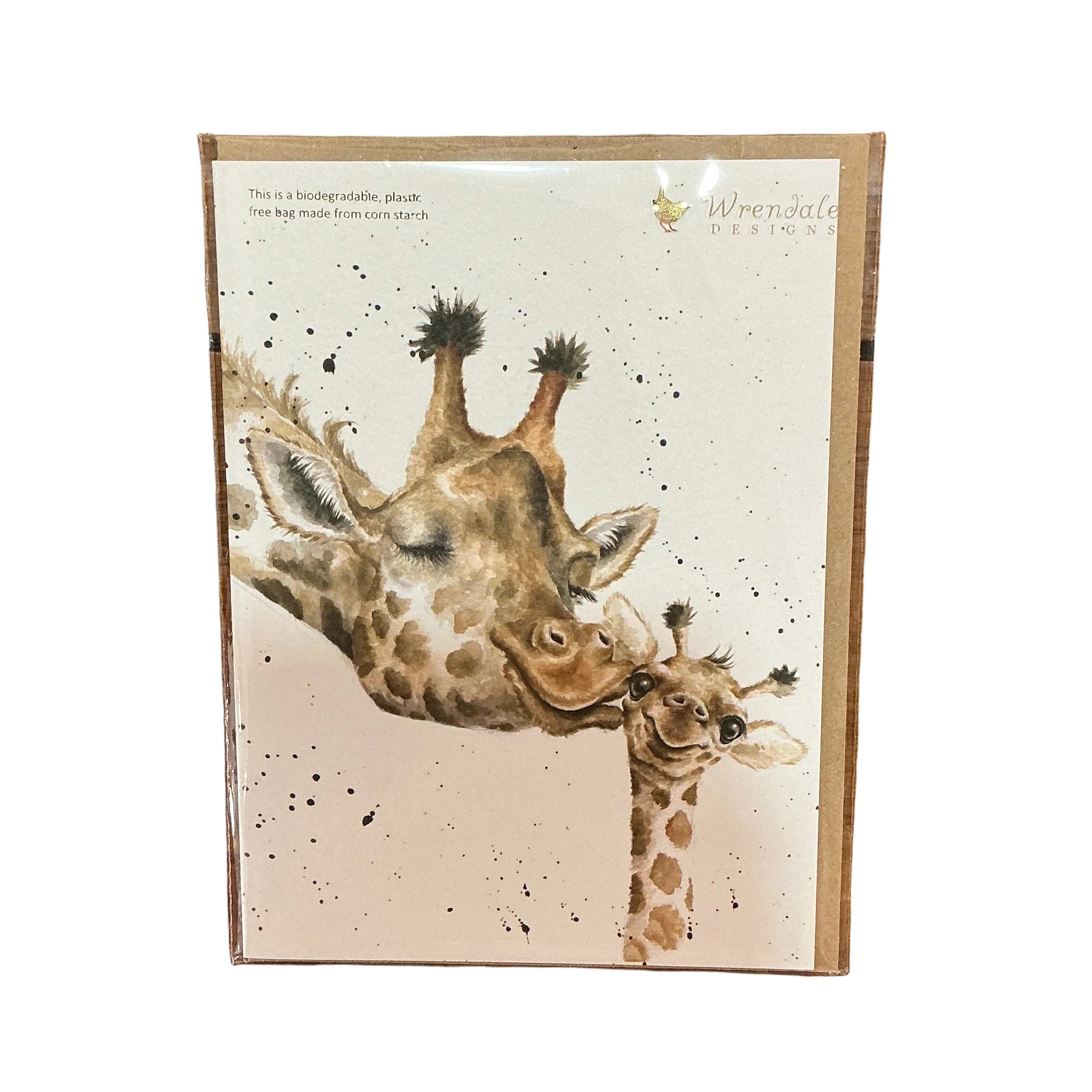 Wrendale Card 'A New Arrival'