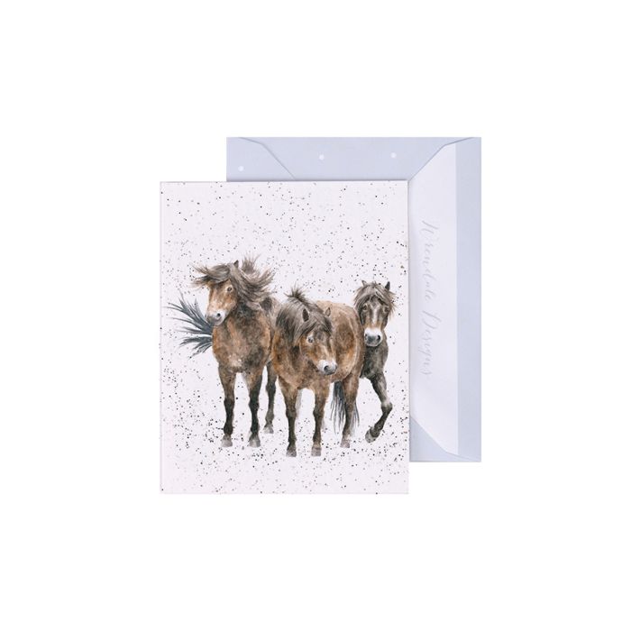 'Three Amigos' Mini Card