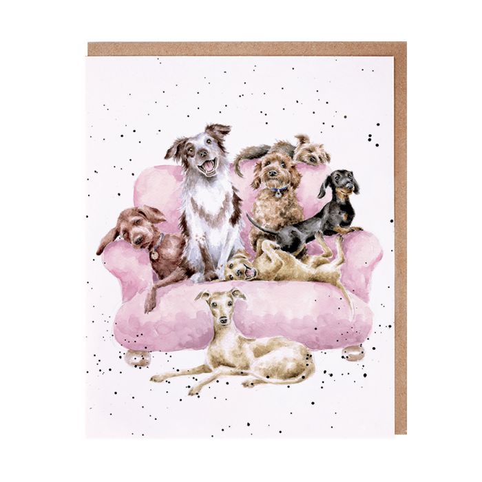 Wrendale Card 'Movie Night'