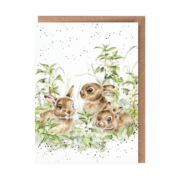 Wrendale Card 'Spring Hares'