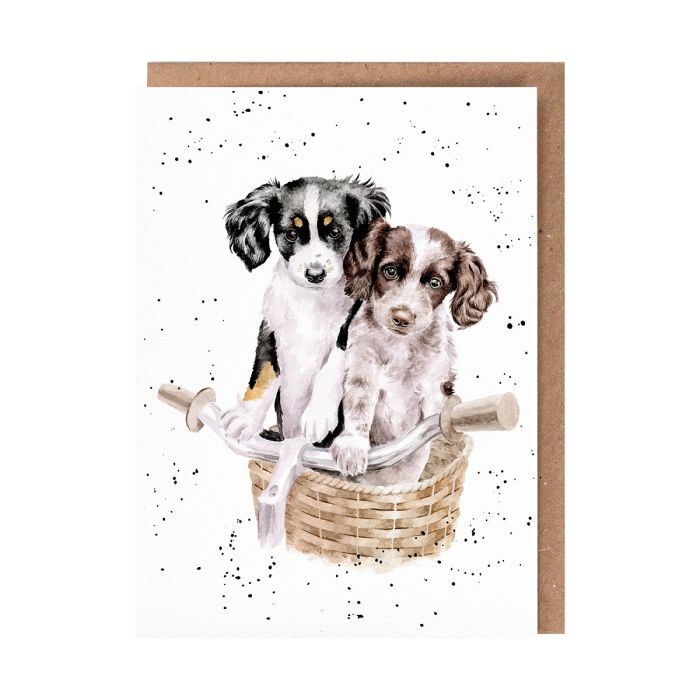 Wrendale Card 'Paws and Pedals'