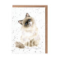 Wrendale Card 'Paws for Thought'