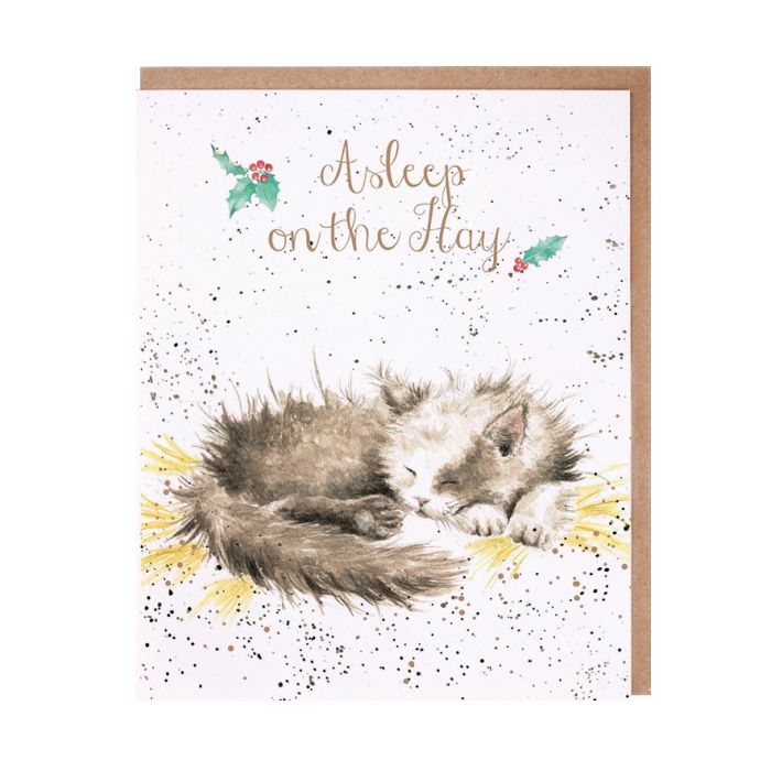 Wrendale Card 'Asleep on the Hay'