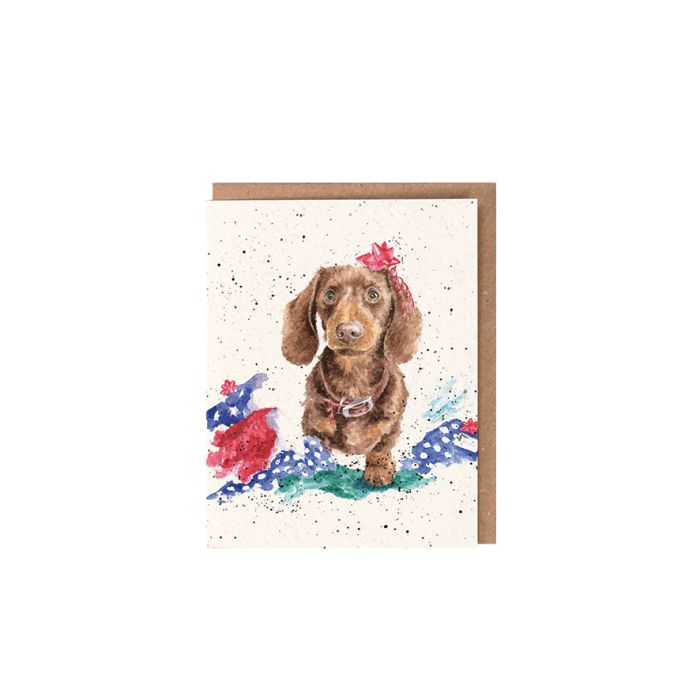 Wrendale Mini Card 'It Was The Cat'