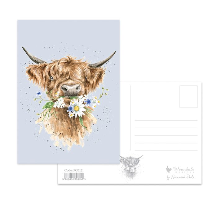 Wrendale 'Daisy Coo' Postcard