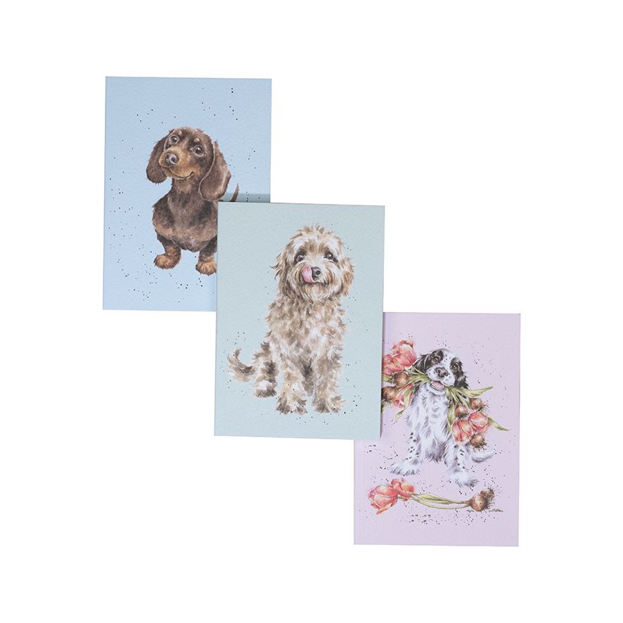 A Dog's Life - Set of 3 Notebooks
