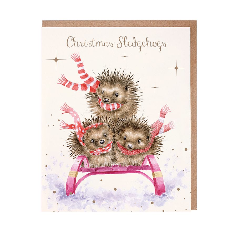 'Sledgehogs' Wrendale Card Pack