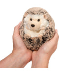 Small Spunky Hedgehog
